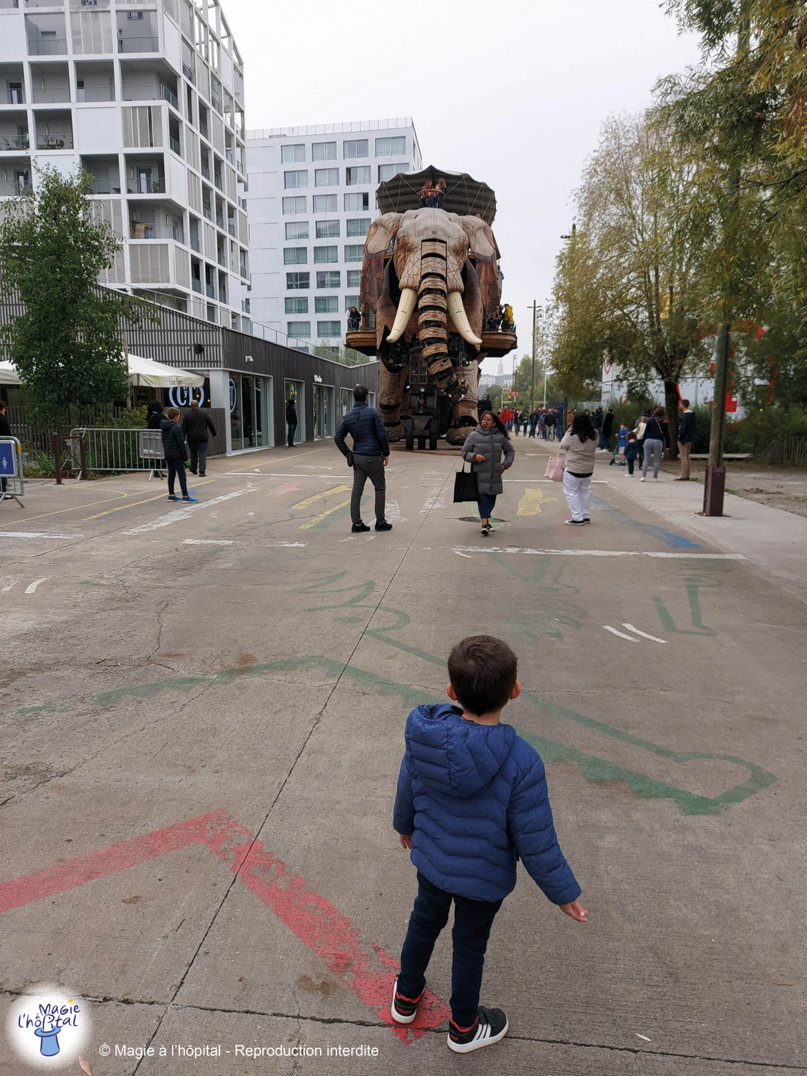 Machines de l'ile Nantes éléphant association Magie à l'hôpital